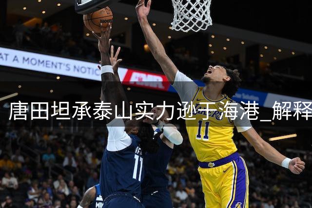 唐田坦承泰山实力逊于海港 解释瓦科替补战术考量